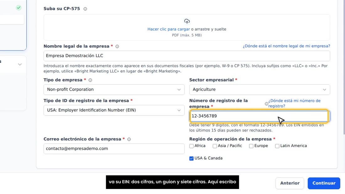 Elija el tipo de empresa y el sector. En «Número de registro» va su EIN: dos cifras, un guion y siete cifras. Aquí escri