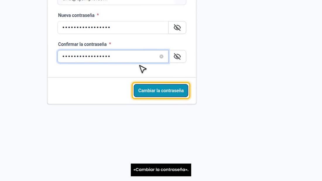 Escríbala otra vez en «Confirmar la contraseña», y pulse «Cambiar la contraseña».