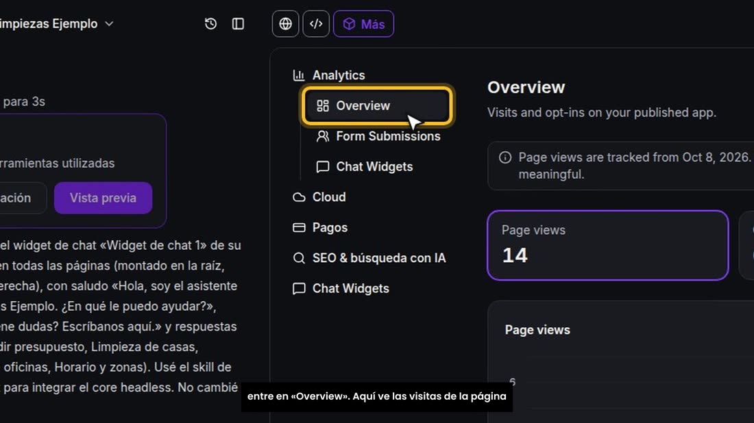 Y para ver si la página funciona, en el mismo cubo de «Más», entre en «Overview». Aquí ve las visitas de la página publi