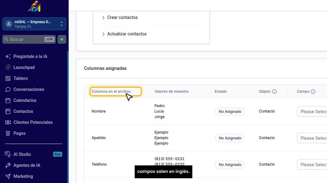 Ahora dígale a qué campo va cada columna de su archivo. Los campos salen en inglés.