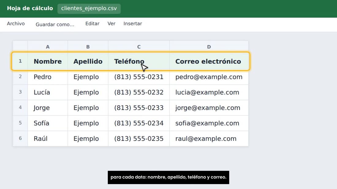 En Excel o en Hojas de cálculo de Google, ponga una columna para cada dato: nombre, apellido, teléfono y correo.