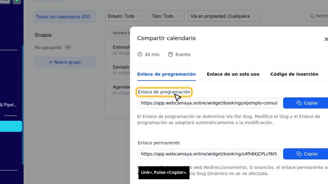 Aquí está su «Enlace de programación», en inglés «Scheduling Link». Pulse «Copiar».