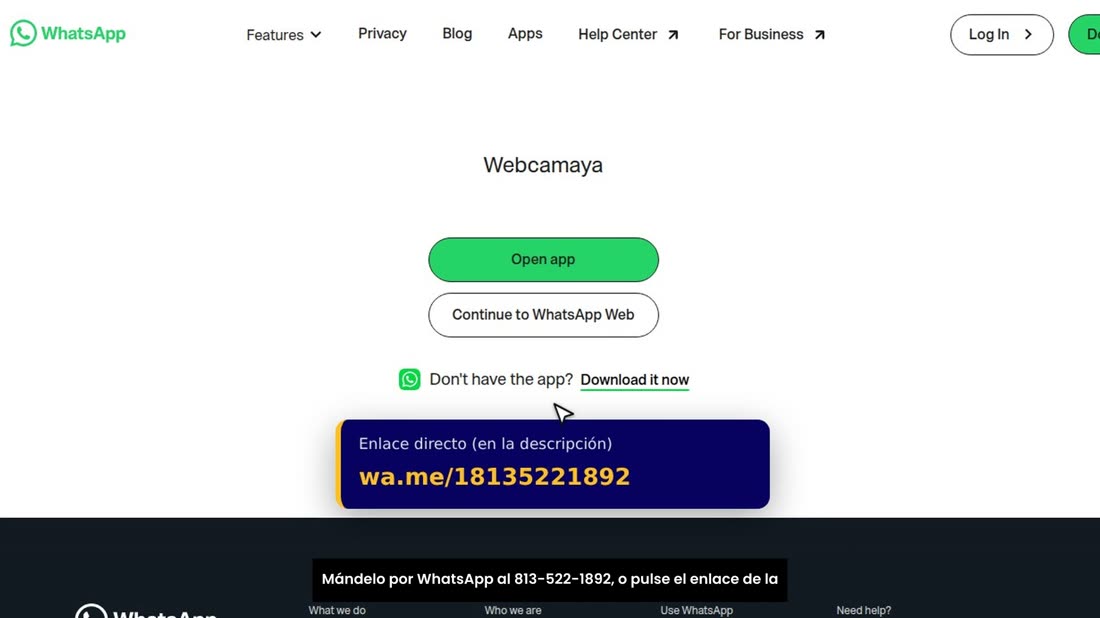 Mándelo por WhatsApp al 813-522-1892, o pulse el enlace de la descripción.